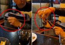 Perrito ingresa «al escamote» en una comidería para comer pollo Perrito ingresa "al escamote" en una comidería para comer pollo