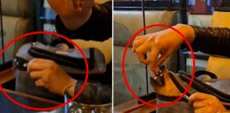 Perrito ingresa "al escamote" en una comidería para comer pollo