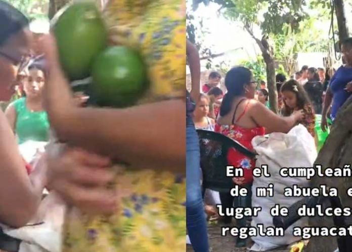 Abuela se vuelve viral por regalar aguacates en su cumpleaños