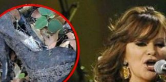 10 años después salen a la luz detalles de la muerte de Jenni Rivera
