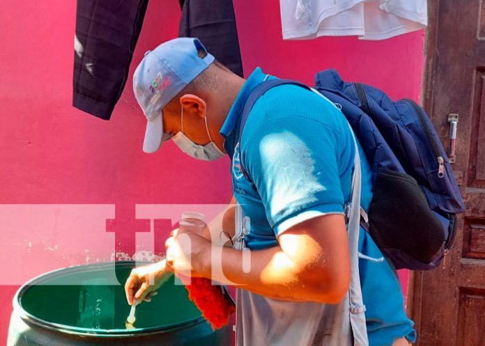 Minsa aplica BTI en 500 viviendas del barrio 