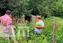 MEFCCA brinda acompañamiento a pequeños productores de Somotillo MEFCCA brinda acompañamiento a pequeños productores de Somotillo