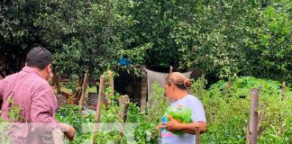 MEFCCA brinda acompañamiento a pequeños productores de Somotillo