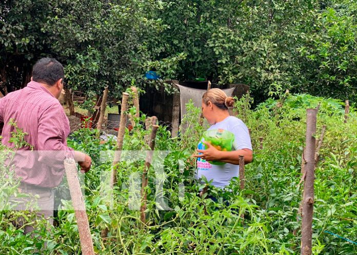 1 MEFCCA brinda acompañamiento a pequeños productores de Somotillo