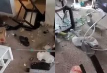 «Pura malacrianza»: Niño destroza su casa solo porque lo castigaron "Pura malacrianza": Niño destroza su casa solo porque lo castigaron
