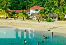 ¡Por amor a Corn Island, yo digo no al plástico! Corn Island trabaja en la reducción del plástico