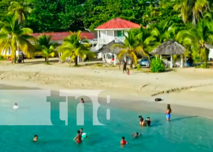 Corn Island trabaja en la reducción del plástico
