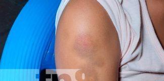 ¡Para caballo no se estudia!, hombre regresa a la cárcel tras agredir a su mujer