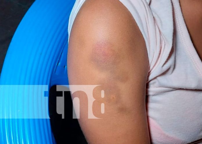 ¡Para caballo no se estudia!, hombre regresa a la cárcel tras agredir a su mujer