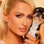 «Lujo de los ricos»: Paris Hilton contrata detective para encontrar a su perra "Lujos de los ricos" Paris Hilton contrata detective para encontrar a su perra