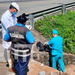 Encuentran pierna en estado de descomposición en el km 16.5 de la Ctra. Vieja a León Encuentran pierna en estado de descomposición en el km 16.5 de la Ctra. Vieja a León