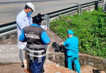 Encuentran pierna en estado de descomposición en el km 16.5 de la Ctra. Vieja a León