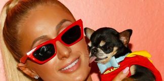 ¡10 mil dólares! Paris Hilton dará recompensa por hallar a su perro