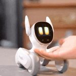 Ya está lista «Loona», una encantadora mascota robótica inteligente La empresa de robótica está recaudando fondos