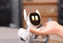 Ya está lista «Loona», una encantadora mascota robótica inteligente La empresa de robótica está recaudando fondos