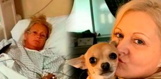 De urgencia al hospital: Perrita Chihuahua defeca en su cara mientras duerme