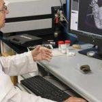 ¡De 35 millones de años! Encuentran raro insecto atrapado en ámbar