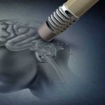 Posible cura contra el Alzheimer da «excelentes» resultados Posible cura contra el Alzheimer da excelentes resultados