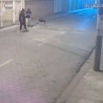 Perrito defiende a hombre de un asalto en Ecuador