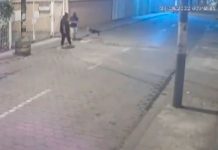 ¡Todo un héroe! Perrito defiende a hombre de un asalto en Ecuador Perrito defiende a hombre de un asalto en Ecuador