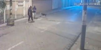 Perrito defiende a hombre de un asalto en Ecuador