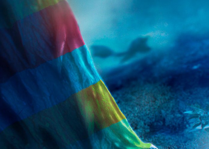 1 Pokémon Escarlata y Púrpura presentan al nuevo pokémon Grafaiai