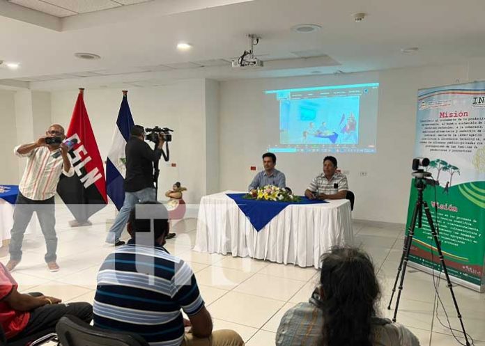 INTA promueve congreso dirigido al sistema productivo del frijol