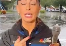 «Solo eso andaba»: Utiliza condón para cubrir micrófono de la lluvia "Solo eso andaba": Utiliza condón para cubrir micrófono de la lluvia