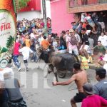 Toros, filarmónicos y mucha alegría por las calles de Masaya Toros, filarmónicos y mucha alegría por las calles de Masaya