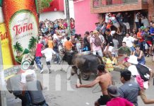 Toros, filarmónicos y mucha alegría por las calles de Masaya