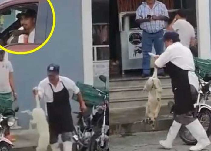 1 ¡VIDEO! Carnicero dispara a un perrito que había entrado a su local