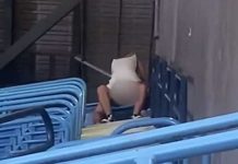 ¡Con agüita de coco! Pareja hace el delicioso en estadio (VIDEO) ¡Con agüita de coco! Pareja hace el delicioso en estadio (VIDEO)