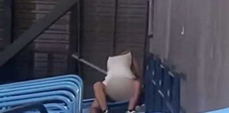 ¡Con agüita de coco! Pareja hace el delicioso en estadio (VIDEO)
