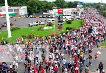 Realizan caminata en barrios de Managua en saludo a las fiestas patrias Realizan caminata en barrios de Managua en saludo a las fiestas patrias