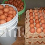 MEFFCA continúa diversificando parcelas en la zona sur de Nandaime