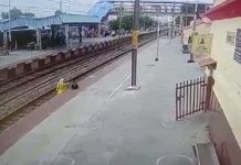 ¡Se burló de la muerte! Mujer se salva de ser arrollada por tren 2 veces (VIDEO) ¡Se burló de la muerte! Mujer se salva de ser arrollada por tren 2 veces (VIDEO)