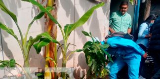 : MINSA mantiene firme la inspección contra los criaderos de mosquitos en Managua