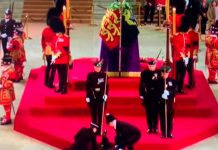 Guardia se desmaya frente al féretro de la Reina Isabel ll (Video) Guardia se desmaya frente al féretro de la Reina Isabel ll (Video)