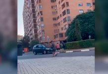 Atropelló a su suegra en Valencia: ¿El motivo? Negarse a mentir por él