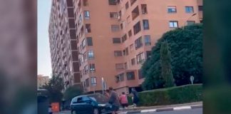 Atropelló a su suegra en Valencia: ¿El motivo? Negarse a mentir por él