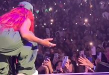 VIDEO: Tremenda verguenza hace pasar Karol G a una fanática