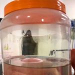 Se viraliza imagen de la «Santa Muerte» en hospital de Hermosillo, México Se viraliza imagen de la "Santa Muerte" en hospital de Hermosillo, México