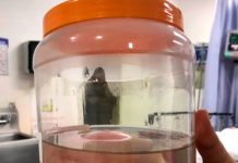 Se viraliza imagen de la «Santa Muerte» en hospital de Hermosillo, México Se viraliza imagen de la "Santa Muerte" en hospital de Hermosillo, México