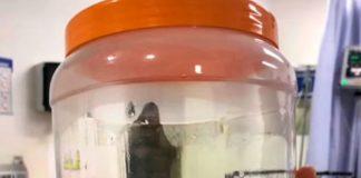 Se viraliza imagen de la "Santa Muerte" en hospital de Hermosillo, México