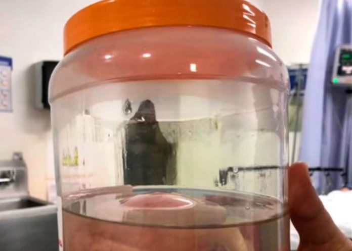 Se viraliza imagen de la 