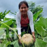 Productores implementan nuevas tecnologías agropecuarias en Totogalpa