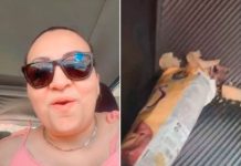 Disponía a comerse una bolsa de papas y casi se traga un ratón muerto Disponía a comerse una bolsa de papas y casi se trata un ratón muerto