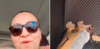 Disponía a comerse una bolsa de papas y casi se trata un ratón muerto