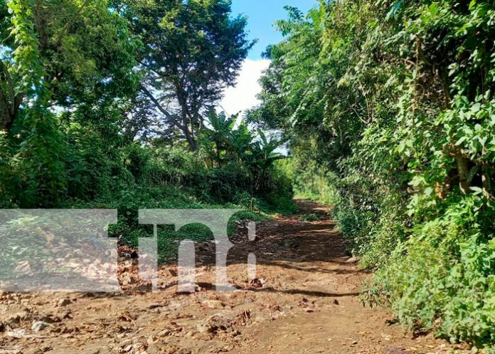 Encuentran a hombre de 60 años que fue arrastrado por las corrientes en Nindirí