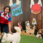 Dog House Nicolas´s, la peluquería canina cálida y amigable para todos